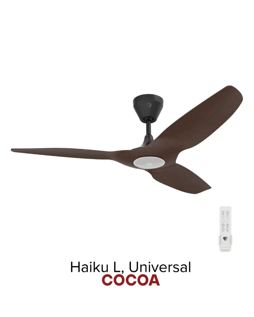 2025-Haiku-9.webp