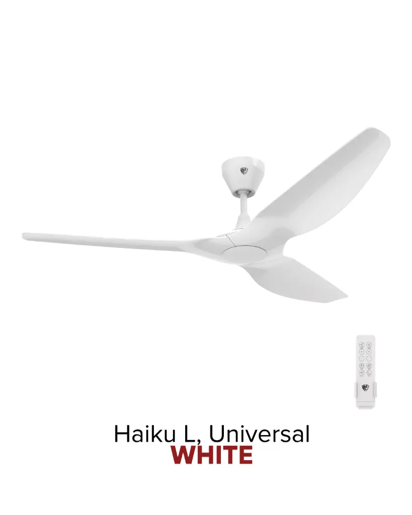 2025-Haiku-6.webp