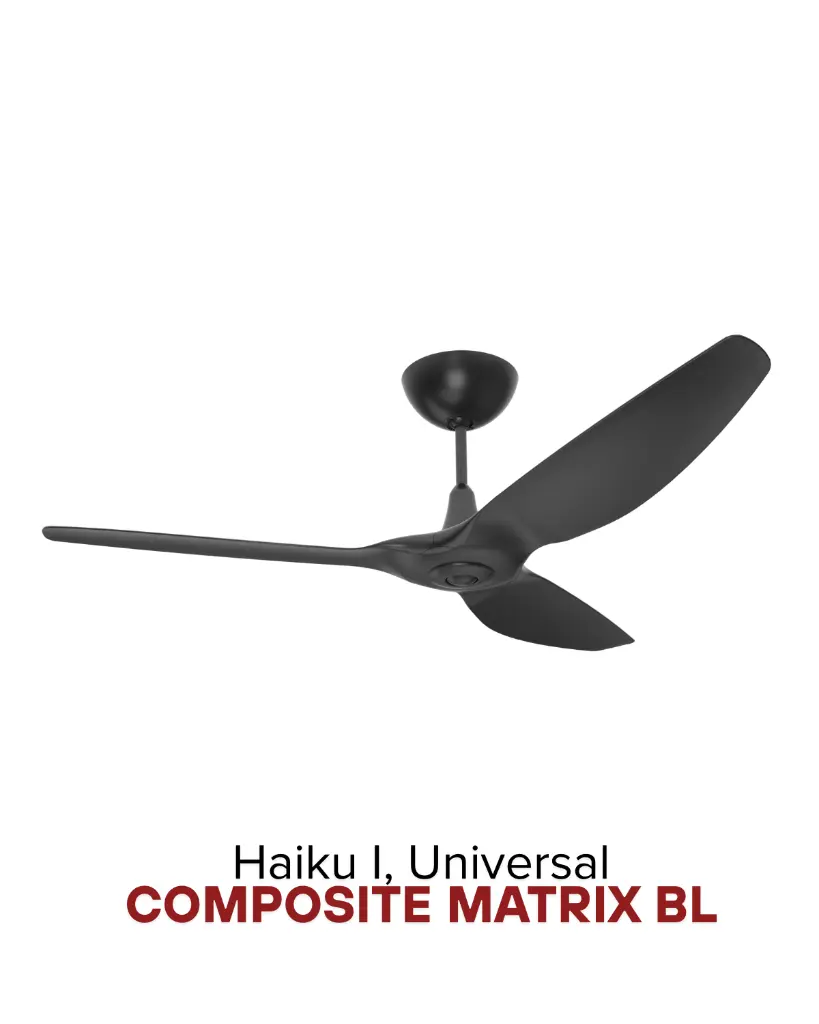 2025-Haiku-18.webp