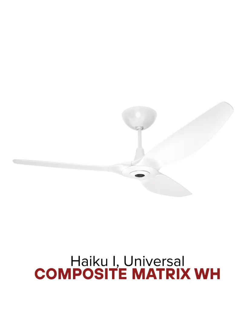 2025-Haiku-19.webp