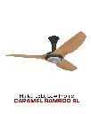 2025-Haiku-35.webp