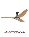 2025-Haiku-30.webp