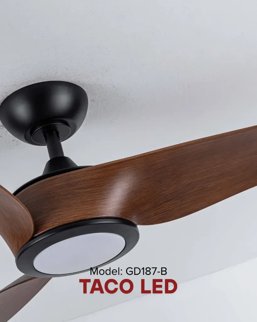 TACOLED_3.webp