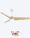 limo_fan_light.webp
