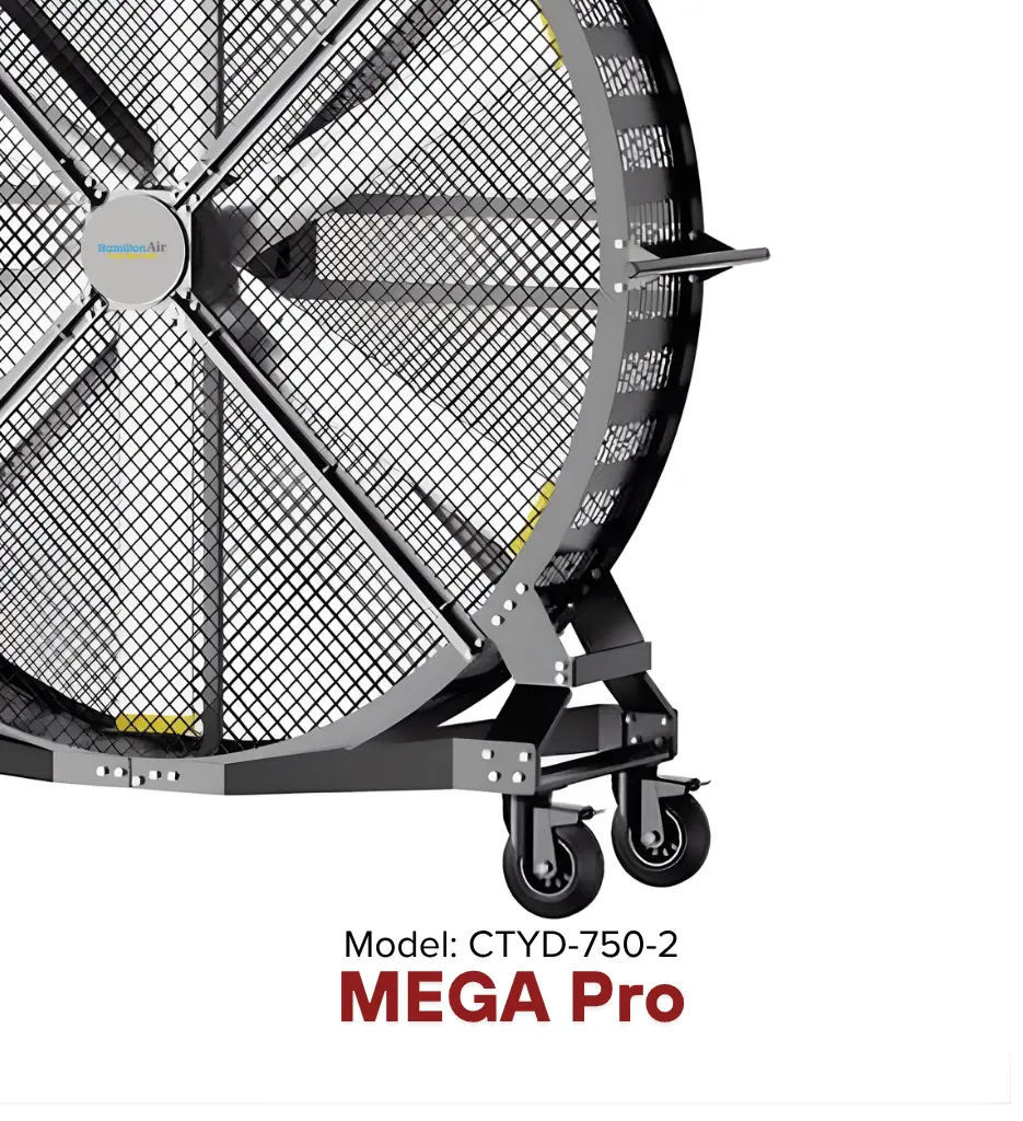 MegaPro_2m_11.webp