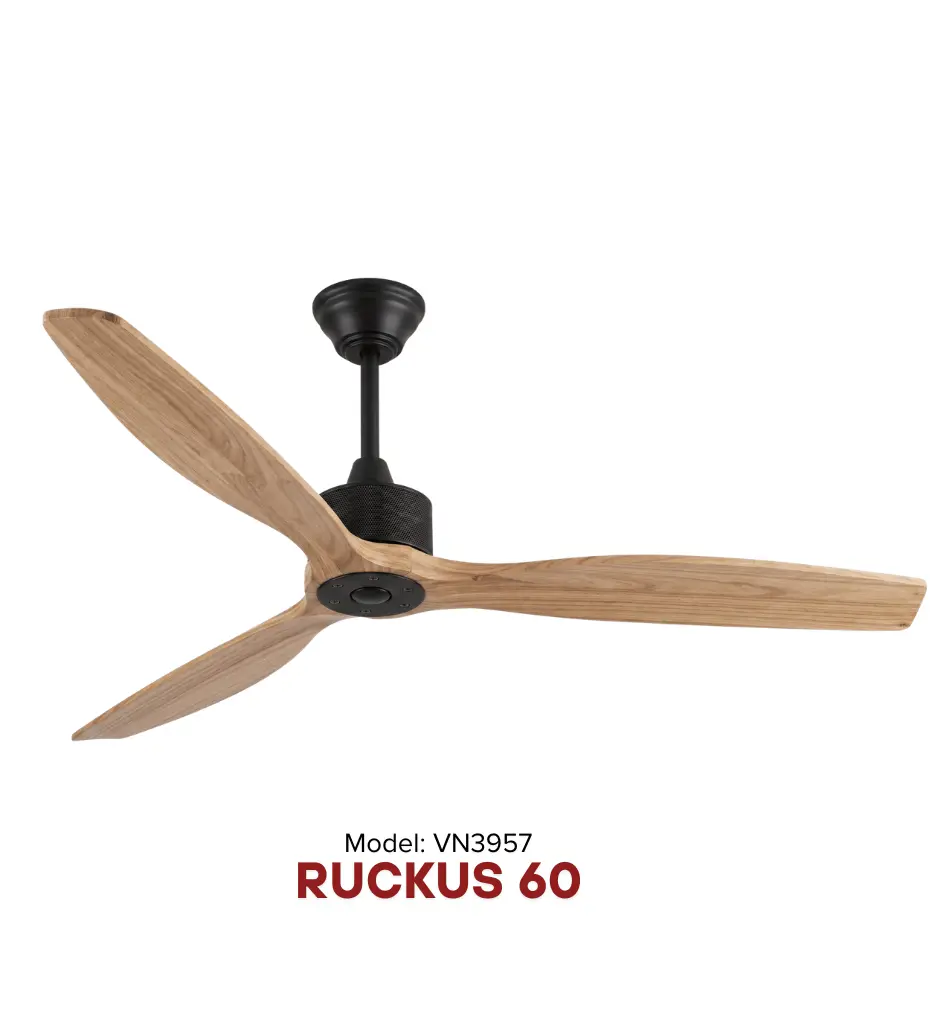 Quạt trần RUCKUS 60