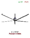 Coolibri Pulsar II 6m